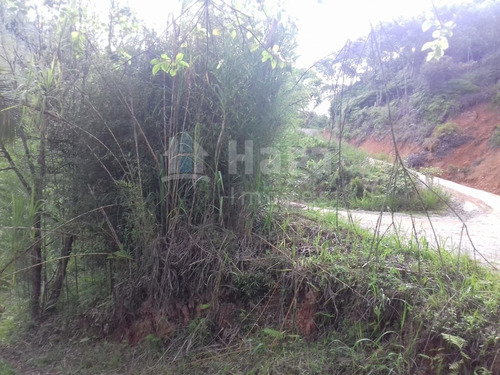 Terreno Rural Para Sítio Ou Chácara A Venda Em Botuverá/sc - 1699c