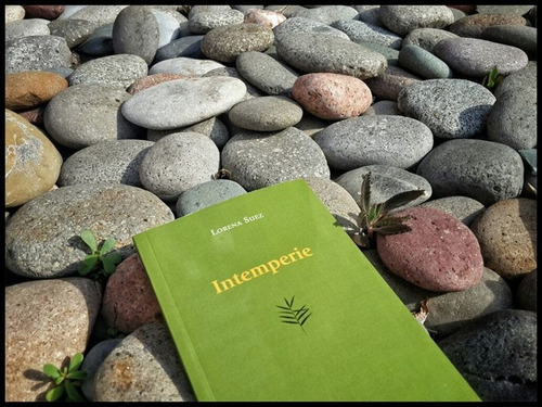 Libro Poesía Intemperie Lorena Suez Viajera Editorial
