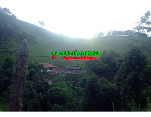 Imagem 10 de 15 de Belo Sítio Em Marmelópolis - Mg - 1247