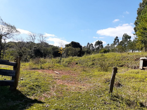 Imagem 10 de 30 de Fazenda A Venda No Bairro Colônia Murici Em São José Dos - 5836-1
