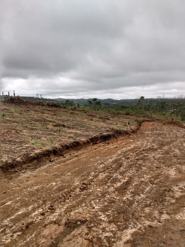 Imagem 25 de 25 de 01- Terrenos Em Condomínio Na Divisa De Suzano E Mogi Das Cruzes Com Procedência !