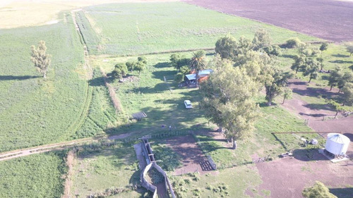 Imagen 2 de 8 de Campo En Venta En F. Madero - Agricola /ganadero