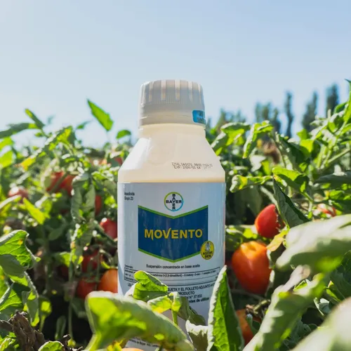 Insecticida Movento Spirotetramat 15% X 1 L Pr-*