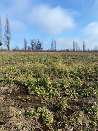 Rebajada! Parcela Agrícola De 22.500 M² Lista Para Sembrar