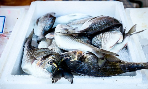 Caixa De Isopor P/ Alimento Pescado 7kg Isoterm (2 Unds) Cor Branco