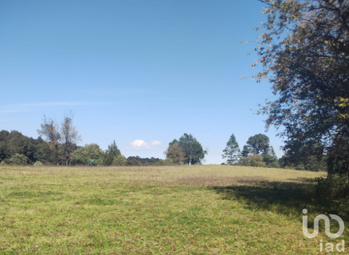 Venta Terreno 0 Ambiente Rincón Chico