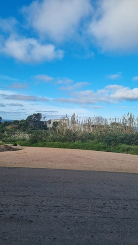 Imagen 7 de 10 de Lote En Venta En Balneario Buenos Aires (ref: Bpv-8158)