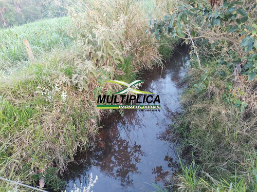 Imagem 4 de 15 de Terreno, Lote, Área Comercial Para Alugar 2km Uberlândia, Bts, Empresas - 419