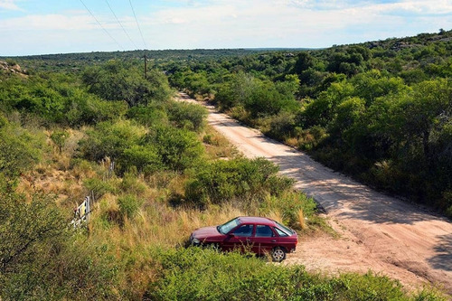 Imagen 18 de 25 de Excelente Campo Nativo De 103ha La Venta En Ojo De Agua!