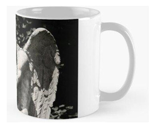 Taza Tiempo En Stone Calidad Premium