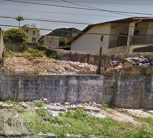 Imagem 12 de 15 de Terreno À Venda, 296 M² Por R$ 300.000,00 - Vila Aurora - Ribeirão Pires/sp - Te0426
