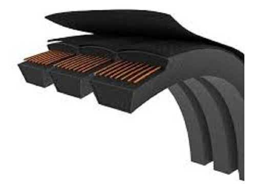 Banda Multiple C79 Lisa ( 20 Costillas ) Black Gold