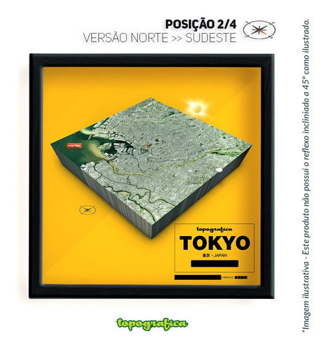 Tóquio (japão) - Mapa 3d Infograf - 1 Quadro 20x20cm