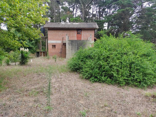 Imagen 4 de 4 de Casas A Reciclar Con Amplio Terreno