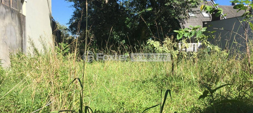 Imagem 4 de 4 de Terreno, 408 M², Tristeza - 161260
