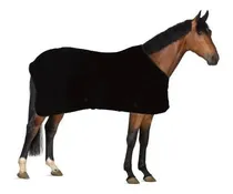 Comprar Capa Para Cobrir Equino Cavalo Égua Do Inverno Kit Com 2