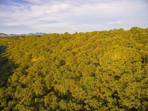 Imagen 4 de 10 de Venta De Terreno En La Cañada, Villa Del Carbón