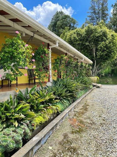 Imagen 4 de 24 de Vendo Hermosa Finca En Guarne