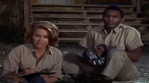 Daktari Temporada 1 Español Latino