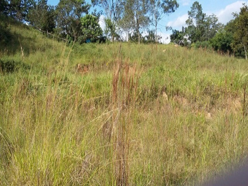 Imagem 5 de 13 de Terreno A Venda No Bairro Tijuco Preto - Jundiaí/sp. Venha Conhecer! - Te01323 - 69558407