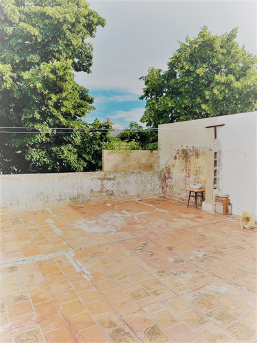 Imagen 13 de 15 de Ph Coghlan - Posibilidad De Ampliacion -terraza Y Patio