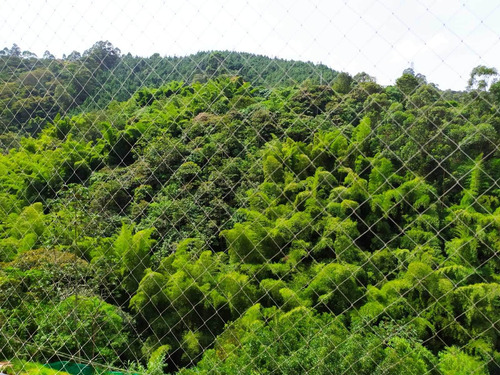 Imagen 18 de 28 de Vendo Apartamento En La Loma San Jose De Sabaneta Piso 5°