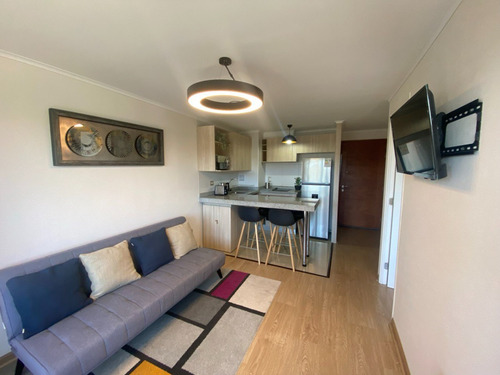 Arriendo Departamento Villarrica (mar-dic)