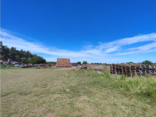 29,4 Hectareas En Cucullu San Andres De Giles