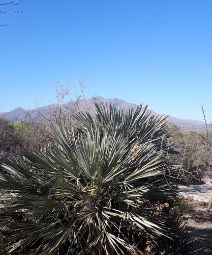 Dueña Vende Terrenos Con Pozo De Agua - Escritura- Vista Panoramica-12 Cuadras Centro-