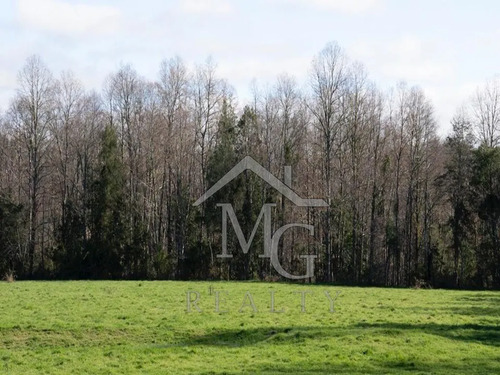 Sitio En Venta En Panguipulli