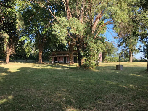 Imagen 9 de 30 de Venta - Campo Ernestina - 25 De Mayo - Rio Salado