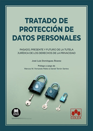 Libro Tratado De Proteccion De Datos Personales - Domingu...