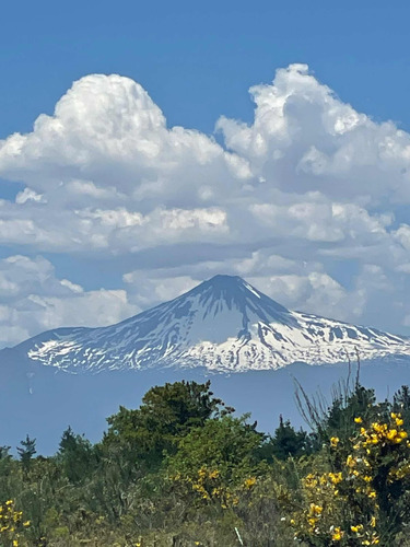 Terreno 5000m2 En Polcura