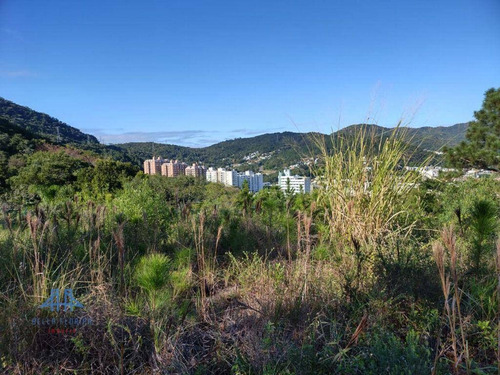 Imagem 13 de 26 de Terreno À Venda, 489 M² Por R$ 697.500,00 - Itacorubi - Florianópolis/sc - Te0085