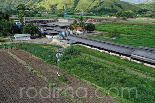 Imagen 4 de 29 de Granja Agrícola Y Porcina Turmero, De 5.7 Hectáreas 04123465023