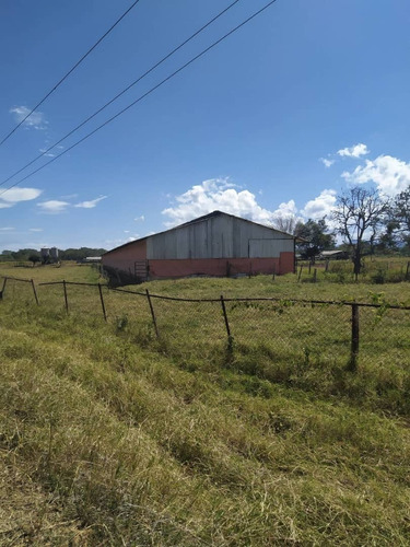 Imagen 11 de 24 de Venta Granja En La Ciudad Valencia Estado Carabobo