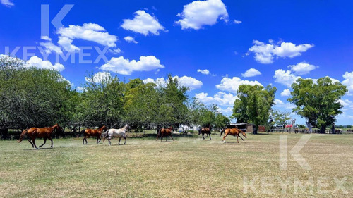 Campo En  Venta Sobre Ruta 2 - 31 Ha