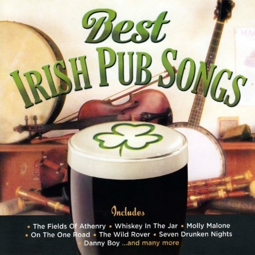 Best Irish Pub Songs / Various Best Irish Pub Songs  .-&&·
