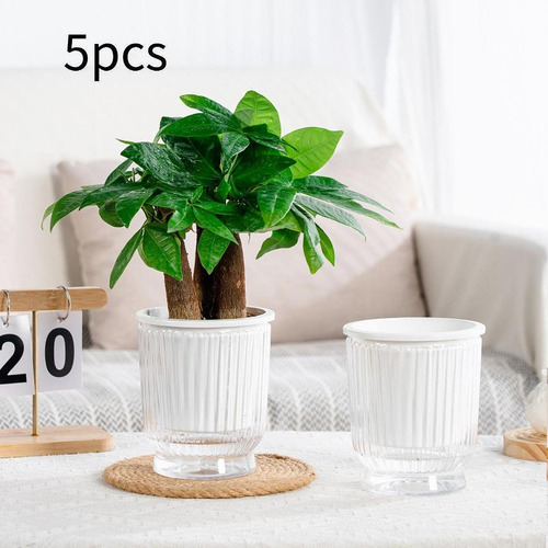 5 Ppc Selfing -riesing Plant Botters Simple Clear 12x14.5cm