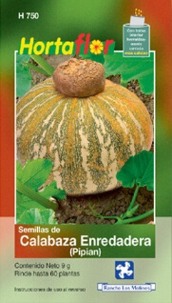 Semilla De Calabaza Enredadera 9g, 60 Semillas Aprox