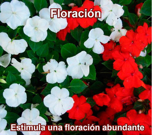 Fertilizante Para La Floración De La Planta 100 Gr (25 L)