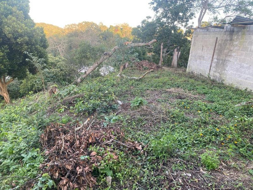 Venta Terreno 2035 M² Colonia Cruz Naranjos Tuxpan Veracruz