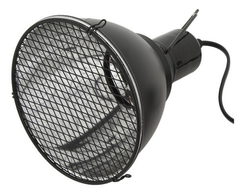 Soquete E27 De Iluminação De Simulação De Luminária De Répte