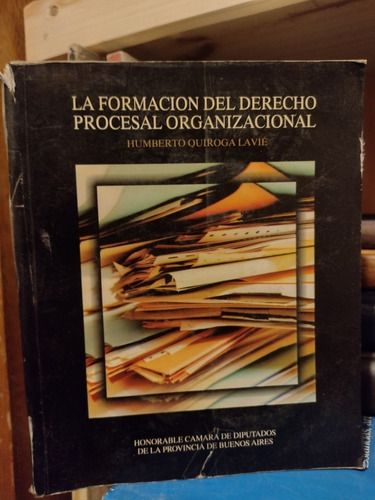 Formación De Derecho Procesal Organizacional - Quiroga Lavié