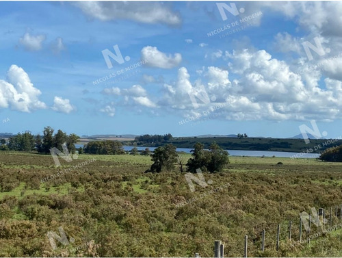 Imagen 12 de 15 de Venta Campo En Maldonado - Maldonado