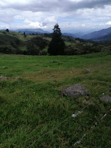 Vendo Finca En Pacho Cundinamarca Area 9 Fanegadas 