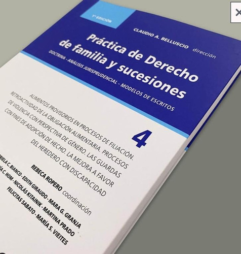 Práctica De Derecho De Familia Y Sucesiones - Belluscio 5 Ts