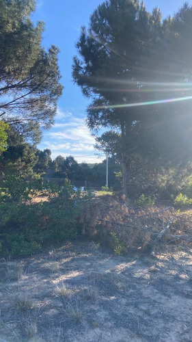 Terreno En Chihuahua