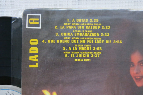 Vinyl Vinilo Lp Acetato Gloria Trevi Mas Turbada Que Nunca (Usado)