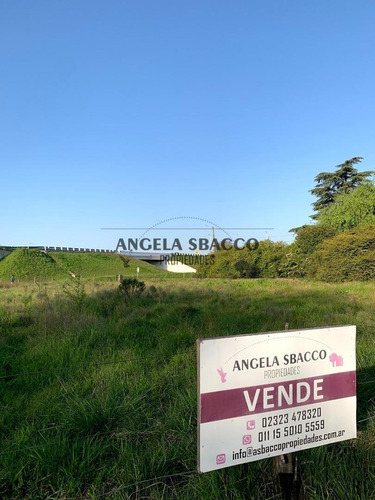 Imagen 8 de 12 de Terrenos En Parada Robles